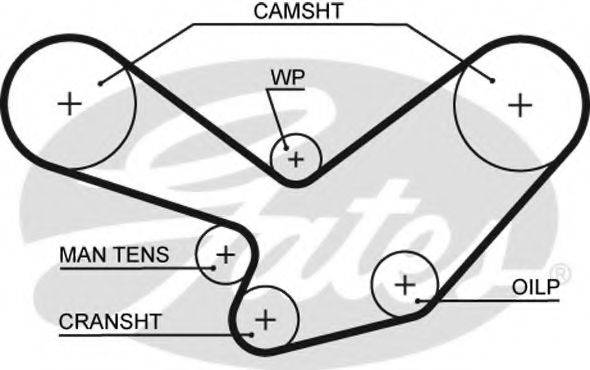 GATES 5096 Ремінь ГРМ