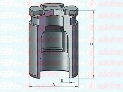 AUTOFREN SEINSA D025542 Поршень, корпус скоби гальма