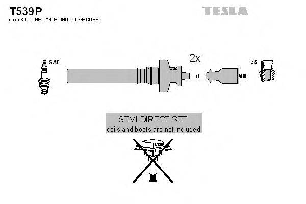 TESLA T539P Комплект дротів запалювання