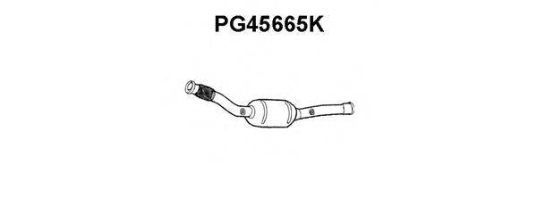 VENEPORTE PG45665K Каталізатор