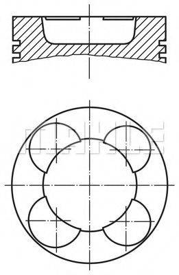 PERFECT CIRCLE 56126480 Поршень