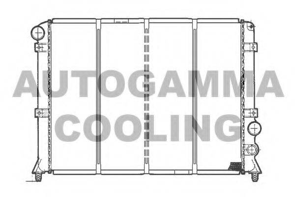 AUTOGAMMA 100009 Радіатор, охолодження двигуна