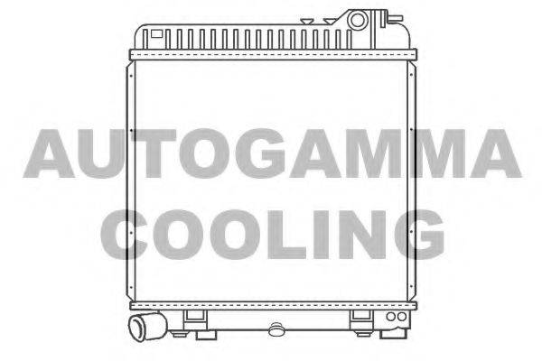 AUTOGAMMA 100087 Радіатор, охолодження двигуна
