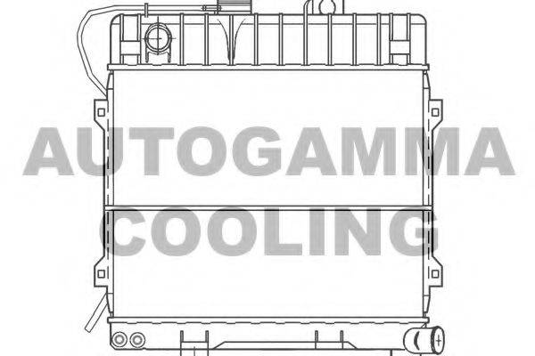 AUTOGAMMA 100089 Радіатор, охолодження двигуна