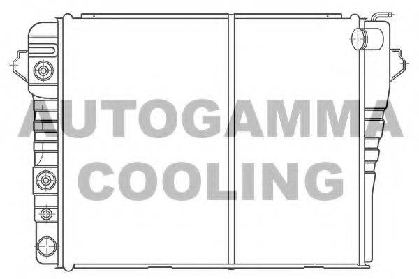 AUTOGAMMA 100110 Радіатор, охолодження двигуна