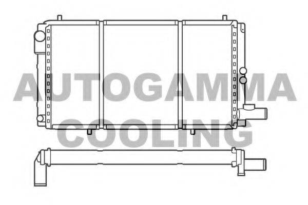 AUTOGAMMA 100165 Радіатор, охолодження двигуна