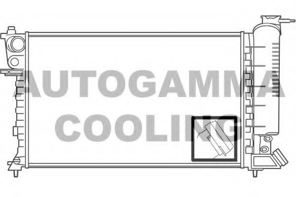 AUTOGAMMA 100224 Радіатор, охолодження двигуна