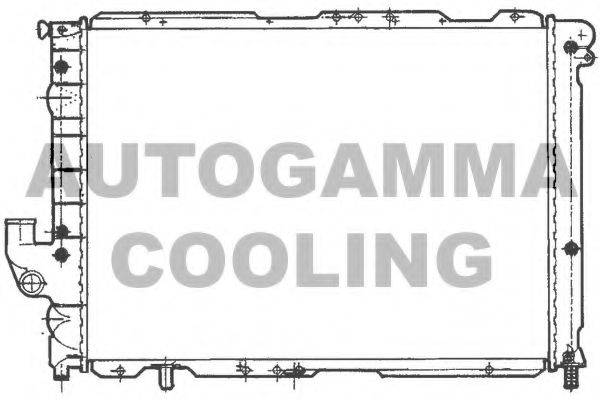 AUTOGAMMA 100469 Радіатор, охолодження двигуна