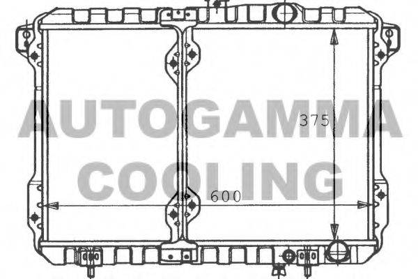 AUTOGAMMA 100581 Радіатор, охолодження двигуна