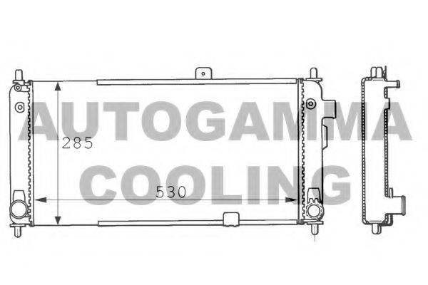 AUTOGAMMA 100661 Радіатор, охолодження двигуна
