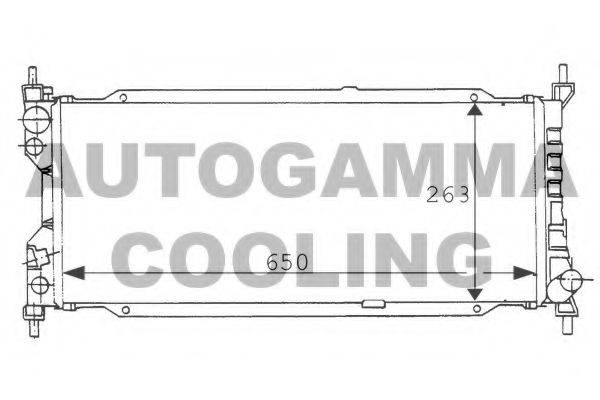 AUTOGAMMA 100675 Радіатор, охолодження двигуна