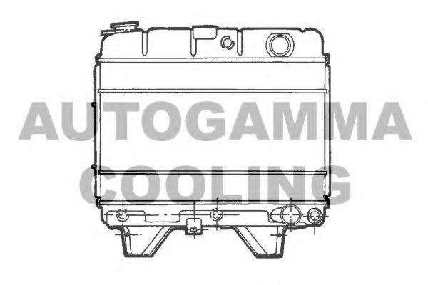 AUTOGAMMA 100787 Радіатор, охолодження двигуна