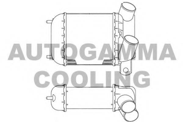 AUTOGAMMA 101950 Інтеркулер