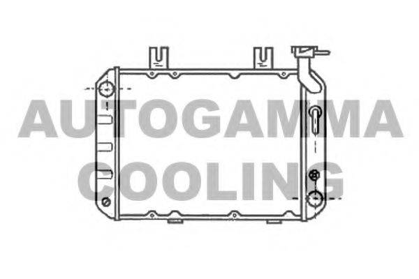 AUTOGAMMA 102106 Радіатор, охолодження двигуна