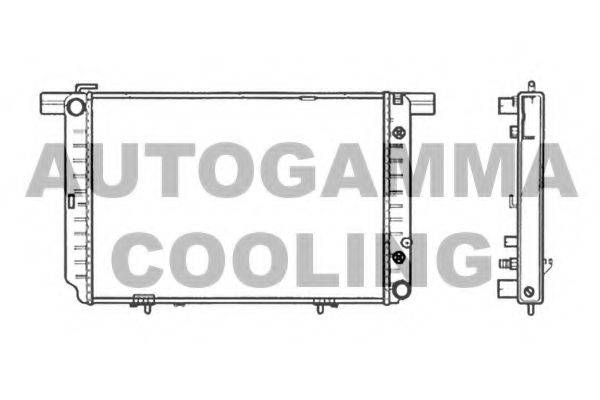AUTOGAMMA 102159 Радіатор, охолодження двигуна
