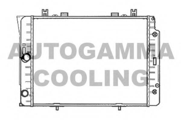AUTOGAMMA 102162 Радіатор, охолодження двигуна