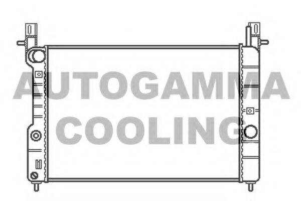 AUTOGAMMA 102255 Радіатор, охолодження двигуна
