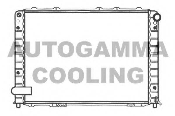 AUTOGAMMA 102912 Радіатор, охолодження двигуна