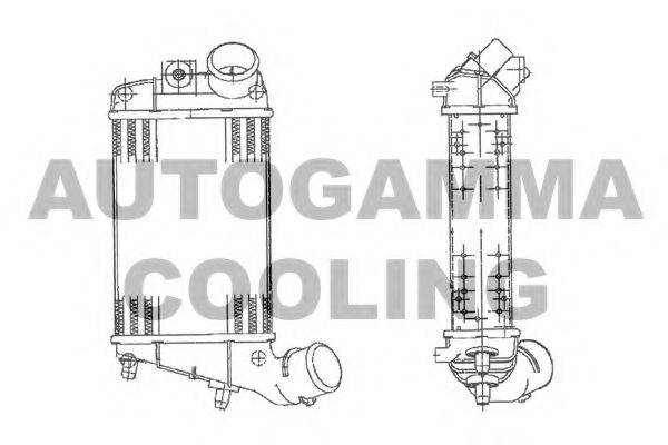 AUTOGAMMA 103008 Інтеркулер