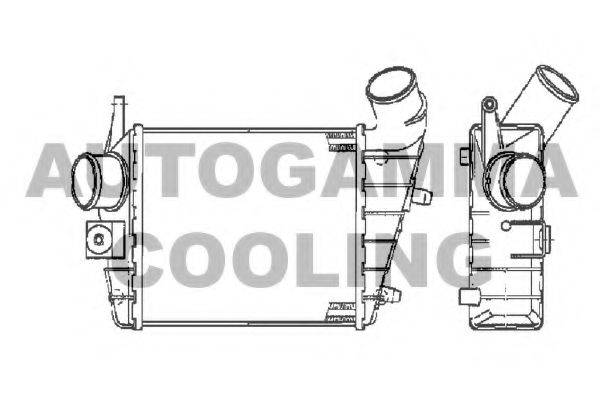 AUTOGAMMA 103011 Інтеркулер