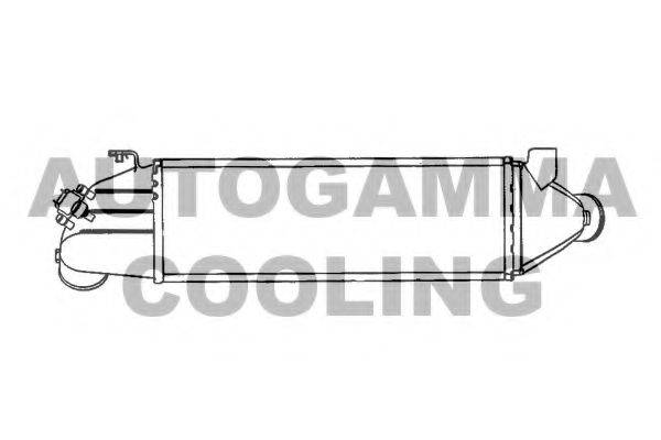 AUTOGAMMA 103099 Інтеркулер