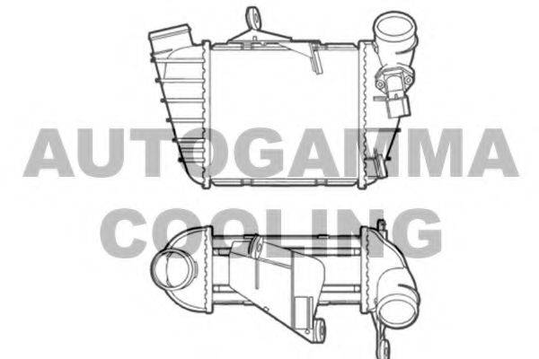 AUTOGAMMA 103637 Інтеркулер