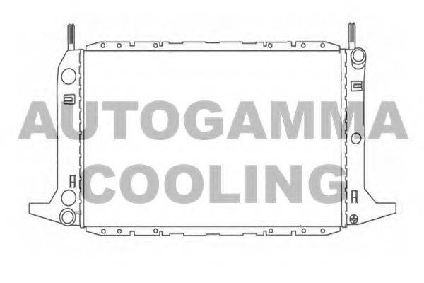 AUTOGAMMA 103920 Радіатор, охолодження двигуна