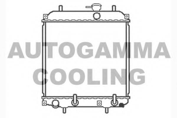 AUTOGAMMA 104054 Радіатор, охолодження двигуна