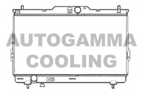 AUTOGAMMA 104073 Радіатор, охолодження двигуна