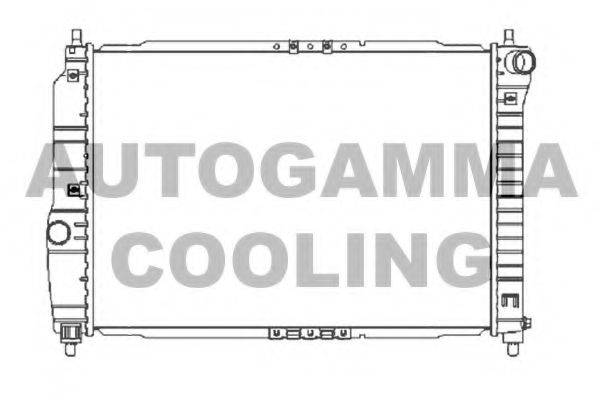 AUTOGAMMA 104256 Радіатор, охолодження двигуна