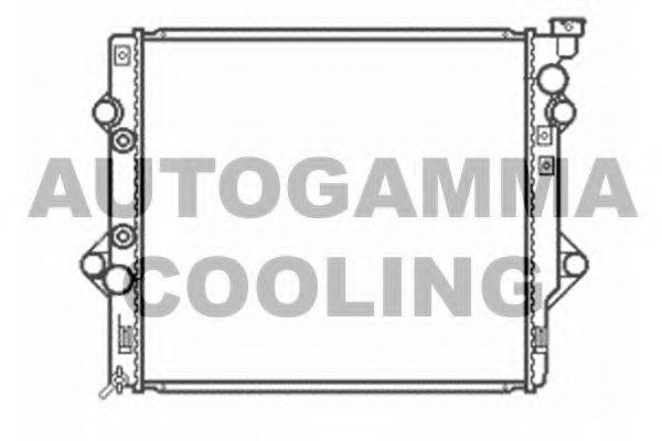AUTOGAMMA 104868 Радіатор, охолодження двигуна
