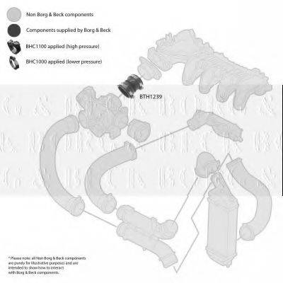 BORG & BECK BTH1239 Трубка повітря, що нагнітається