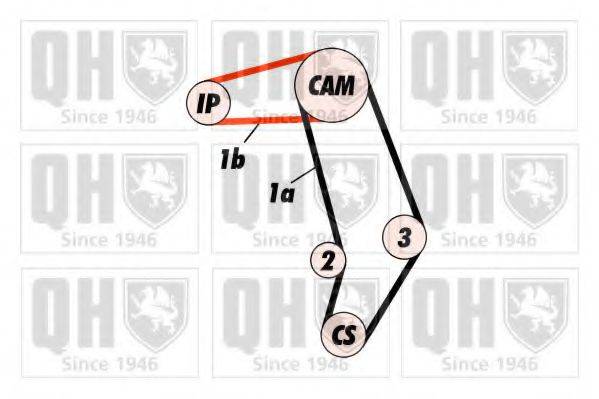 QUINTON HAZELL QBK442 Комплект ременя ГРМ