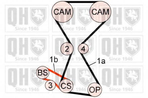 QUINTON HAZELL QBK719 Комплект ременя ГРМ