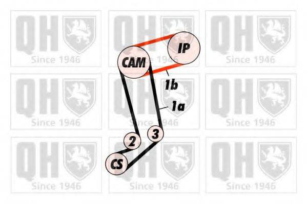 QUINTON HAZELL QBK289 Комплект ременя ГРМ